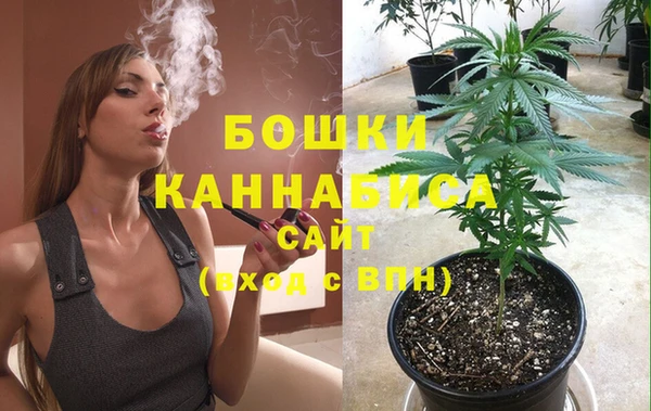 стаф Аркадак