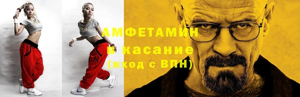 стаф Аркадак