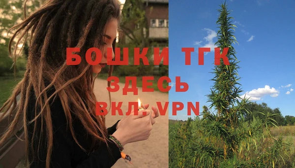 стаф Аркадак