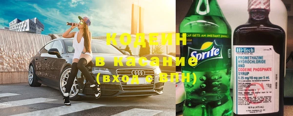 стаф Аркадак