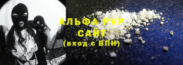 стаф Аркадак